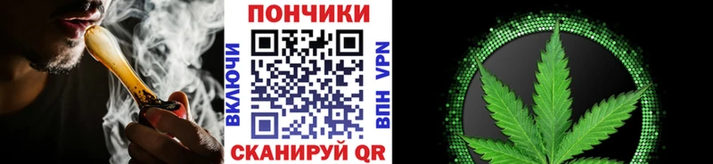даркнет клад где продают гидра ONION Сегежа Шишки марихуана SATIVA & INDICA